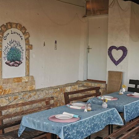 Casa Lavanda - Karin Gornji Gornji Karin Buitenkant foto