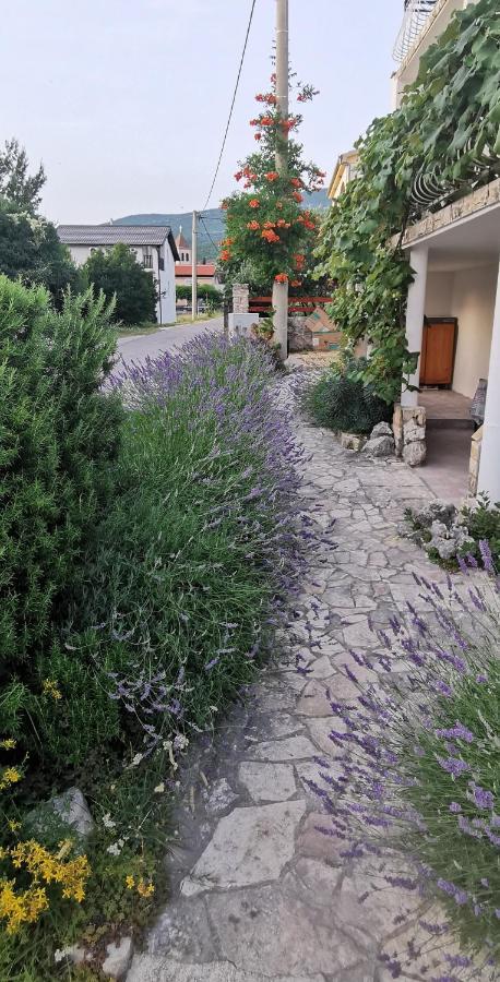 Casa Lavanda - Karin Gornji Gornji Karin Buitenkant foto